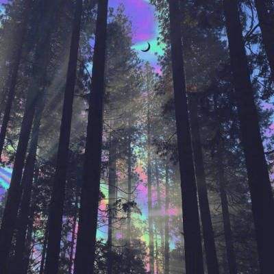 半岛登录平台网址