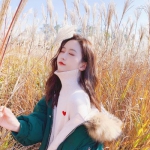 大只500注册下载